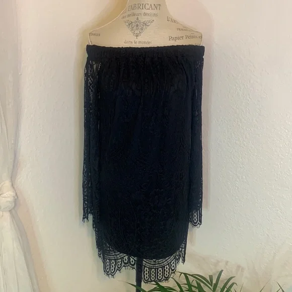 chinese dress ladies For Love and Lemons Bette Mini Lace Dress  TrenLend